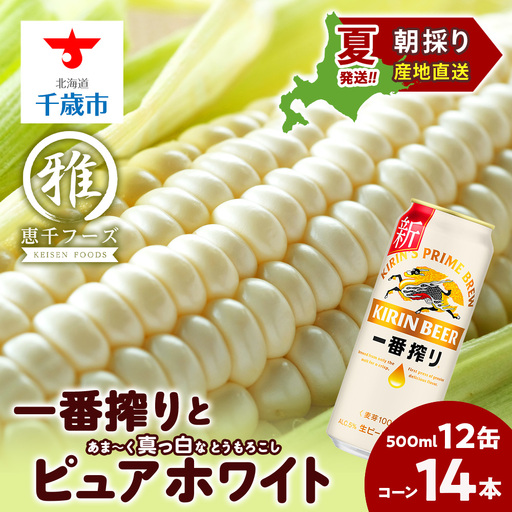 2026年夏発送 キリン一番搾り 500ｍl 12缶＆白いとうもろこしピュアホワイト14本