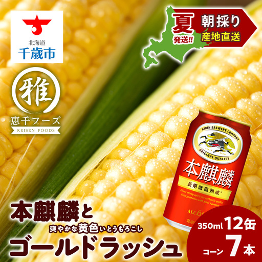 2026年夏発送 キリン本麒麟350ml 12缶&黄色いとうもろこしゴールドラッシュ7本
