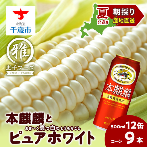 2026年夏発送 キリン本麒麟500ｍl 12缶＆白いとうもろこしピュアホワイト9本