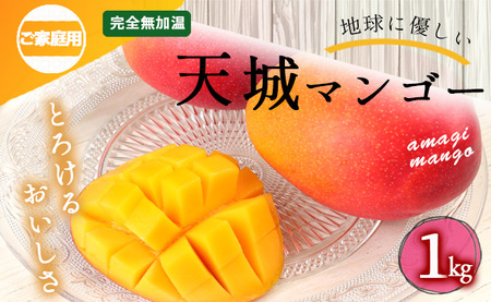 [2026年発送][数量限定]徳之島 天城町産 完全無加温 完熟 マンゴー 家庭用 1kg