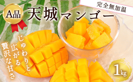 【2027年発送】【先行受付】徳之島 天城町産 完全無加温 完熟 マンゴー Ａ品 1kg 贈答