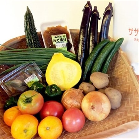 産地直送!旬の朝採れ野菜のセット(9〜13種程度)_野菜 _[配送不可地域:離島]