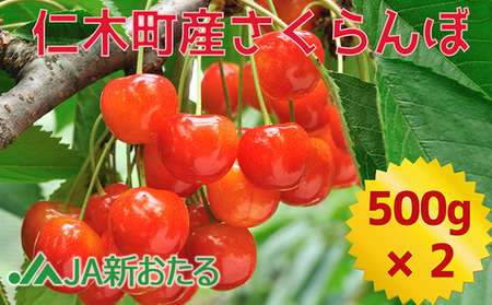 さくらんぼ 1kg サクランボ