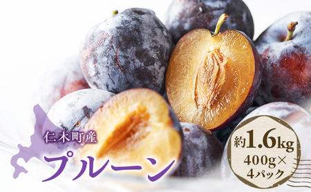 [2026年発送] 北海道 仁木町産 季節のプルーン 1.6kg（400g×4パック）プルーン 果物 果物類 くだもの フルーツ [JA新おたる]