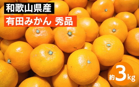 【先行予約】 有田みかん 秀品 約3kg サイズ混合　和歌山県産