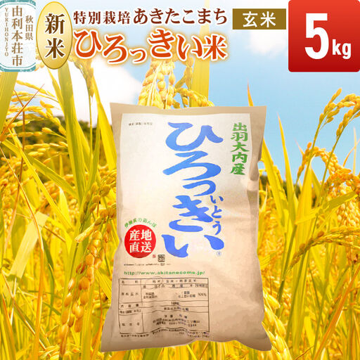 [令和8年産 新米受付][玄米]あきたこまち 5kg 秋田県産 特別栽培米 ひろっきい米