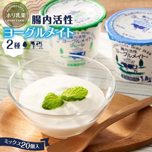 [ホリ乳業]腸内活性 ヨーグルメイト 2種ミックス20個入