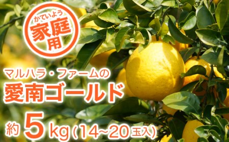 訳あり 家庭用 河内晩柑 5kg マルハラファーム 柑橘 果物 愛媛県産 みかん 河内晩柑 みかん 発送期間: 4月中旬?8月下旬 (なくなり次第終了)