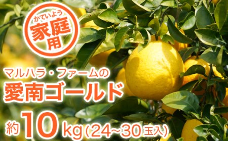 家庭用 河内晩柑 10kg マルハラファーム 柑橘 河内晩柑 愛媛 国産 果物 傷あり 旬 お届け 河内晩柑 ブランド 和製 グレープフルーツ ビタミン 美味しい 河内晩柑 有名 発送期間: 4月中旬?8月下旬 (なくなり次第終了) 河内晩柑