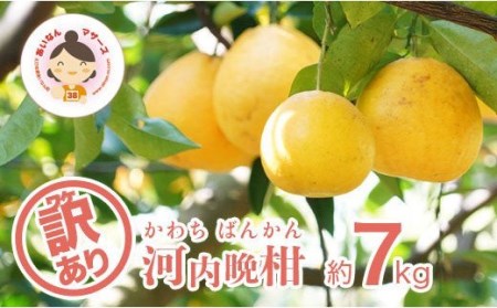 訳あり 河内晩柑 7kg 晩柑 かわちばんかん 柑橘 和製 グレープフルーツ 国産 愛媛 みかん 果物 果実 フルーツ 特産品 有名 みかん あいなんマザーズ おいしい ビタミン 傷あり 家庭用 送料無料 産地 直送 産直 (なくなり次第終了)