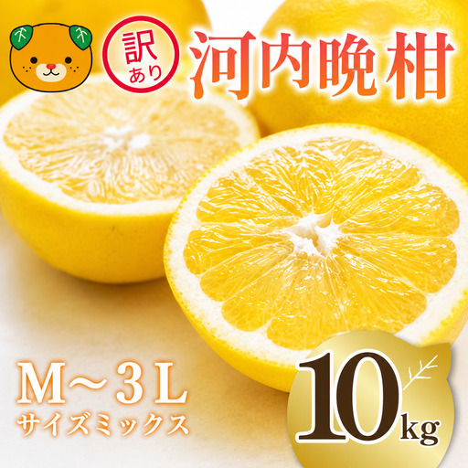 【先行予約】  訳あり 河内晩柑 10kg サイズミックス 家庭用 樹齢 20年 以上 古木 和製 グレープフルーツ 愛南ゴールド 直送  フルーツ 人気 柑橘 爽やか 甘み ジューシー 果汁 旬の果物 くだもの みかん サイズ不揃い 産地直送 農園直送 春 味覚 初夏 デザート ジュース おすすめ 生搾り デザート ゼリー 愛媛県 愛南町 清家ばんかんビレッジ