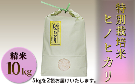 お米 ヒノヒカリ 10kg 特別栽培 お米