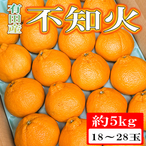 【濃厚】有田の不知火約5kg（18玉～28玉おまかせ） ※2027年2月中旬～2027年4月中旬頃に順次発送予定（日付指定不可）【tec860A】