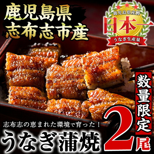 【数量限定】うなぎの大楠＜小＞2尾セット計220g以上(110g以上×2) a1-071