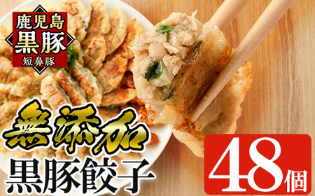 餃子 鹿児島黒豚「短鼻豚」無添加餃子セット48個[鹿児島ますや]a441