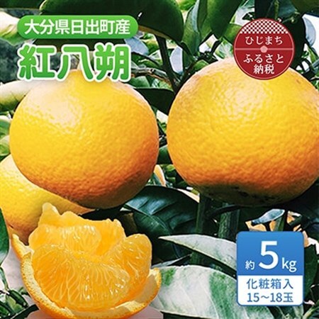 紅八朔　約5kg(化粧箱入り)_果物・フルーツ  柑橘 _【1106338】