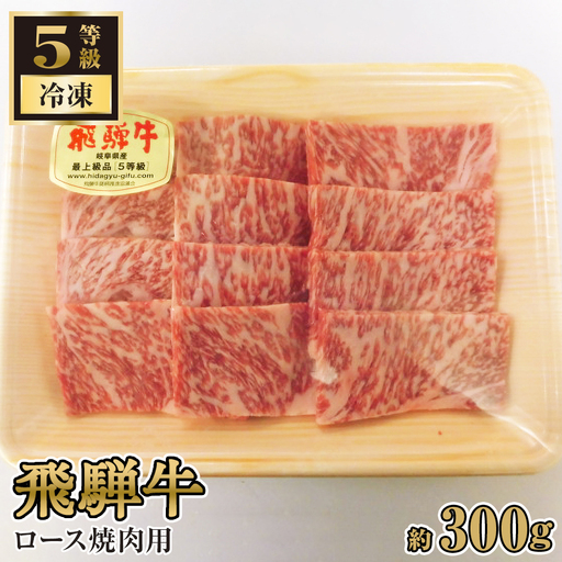 飛騨牛ロース焼肉用 約300g(5等級 冷凍) [No.214]