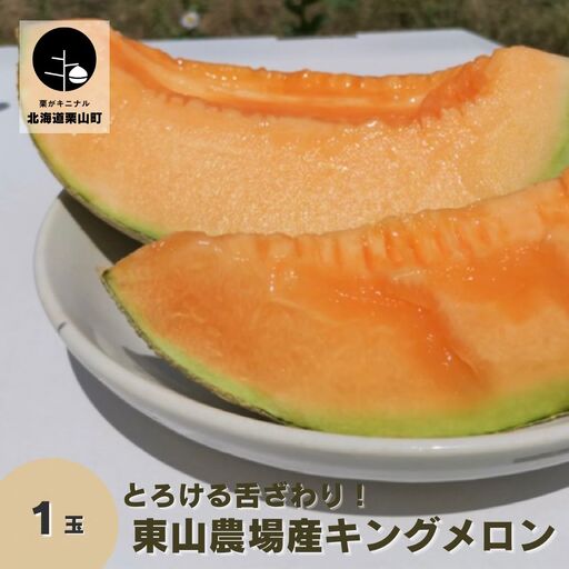 とろける舌触り!北海道栗山町東山農場産キングメロン 1玉