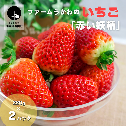 もぎたて!ファームうかわのいちご「赤い妖精」2パック