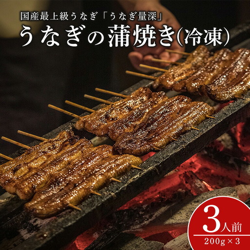 うなぎ３人前セット FJ-008
