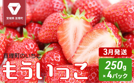 亘理町のいちご もういっこ 250g×4パック 仙台いちご イチゴ