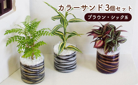 カラーサンド 3個 セット ブラウン・シック系 植物 インテリア ガーデン 