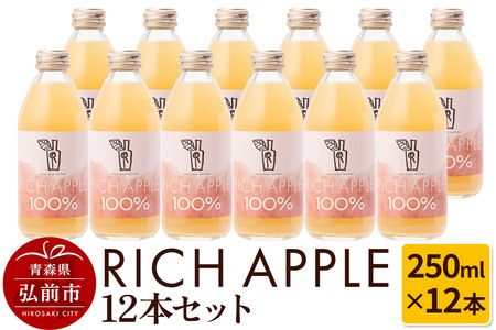 りんごジュース RICH APPLE 12本セット(250ml×12本)