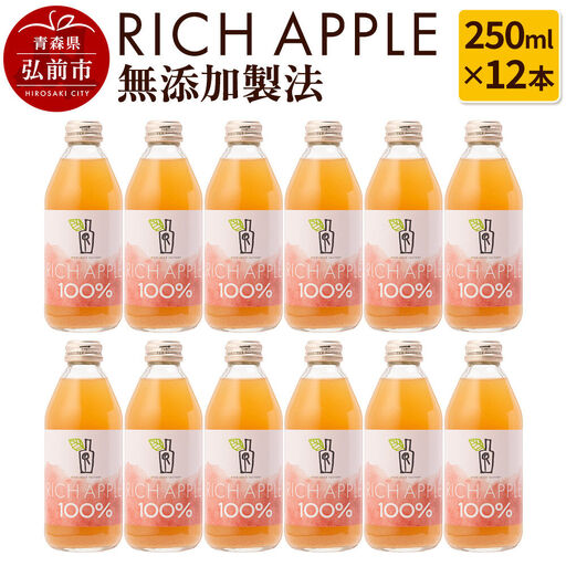 りんごジュース RICH APPLE 無添加製法 12本セット（250ml×12本）