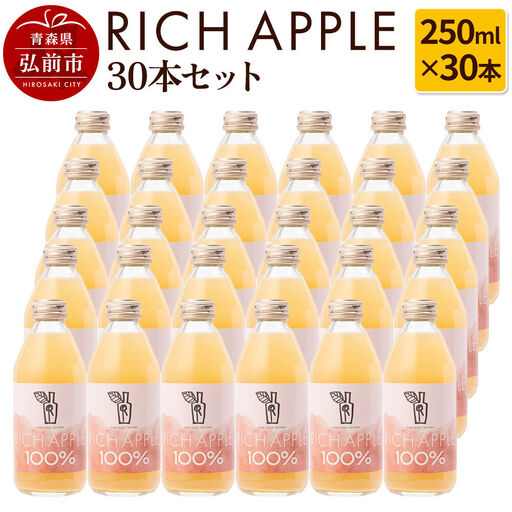 りんごジュース RICH APPLE 30本セット（250ml×30本）