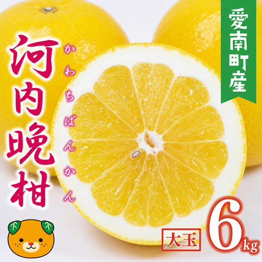【数量限定】 河内晩柑 大玉 6kg みかんの山祥 河内晩柑