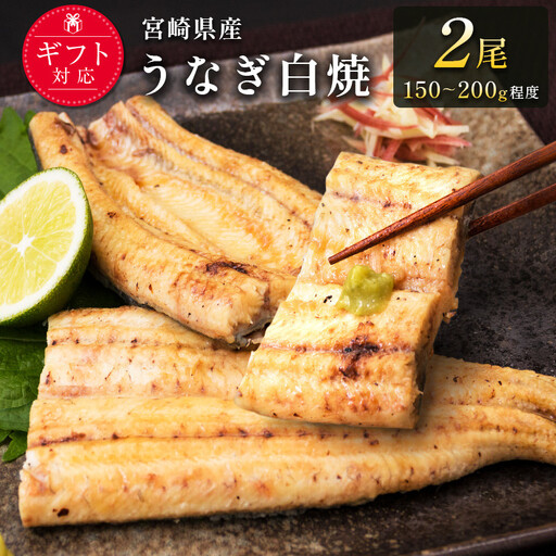 [2週間以内発送]うなぎ 白焼き 2尾 計300g以上 鰻 化粧箱入り 蒲焼たれ付