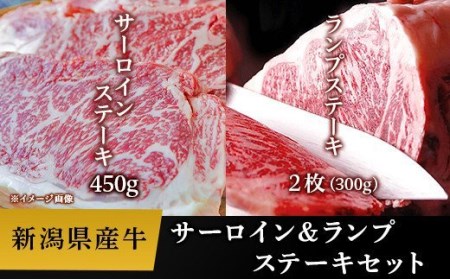 76-57B新潟県産牛(長岡産)サーロインステーキ450g&ランプステーキ2枚(計300g)