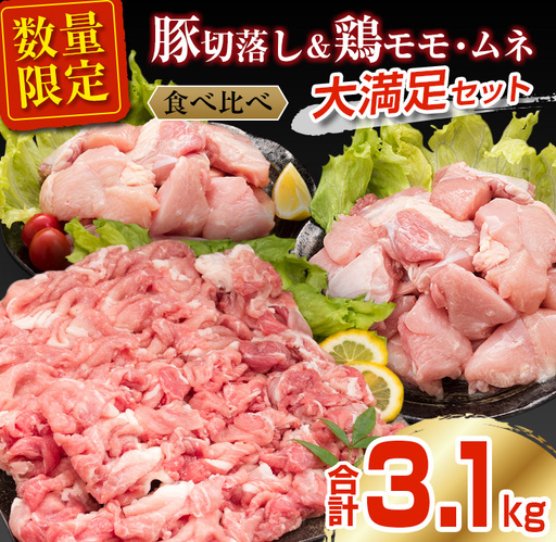 数量限定 豚肉 切り落とし 鶏肉 モモ ムネ セット 合計3.1kg_BDV2-26