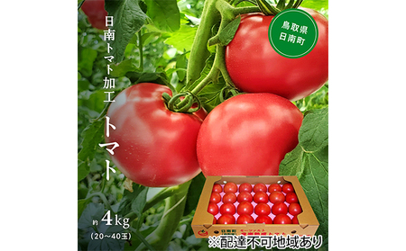 [先行予約]星降る里日南町 樹熟れトマト4kg[配送不可:北海道・沖縄]