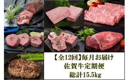 [全12回]毎月お届け 佐賀牛 定期便 総計15.5kg
