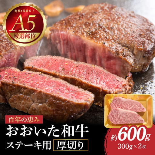 百年の恵み　おおいた和牛A5　ステーキ用厚切り【厳選部位】約600ｇ A01104