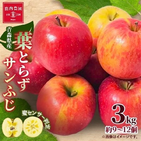 [甘くてみずみずしい] りんご 葉取らずふじ 蜜入判定 約3kg (約9〜12個) 青森市 産地直送_りんご 林檎 リンゴ ふじ フジ 果物 くだもの フルーツ 葉取らず 青森県 産地直送 送料無料 おすすめ 人気 お取り寄せ 贈答 ギフト プレゼント 常温 3kg_[配送不可地域:離島]