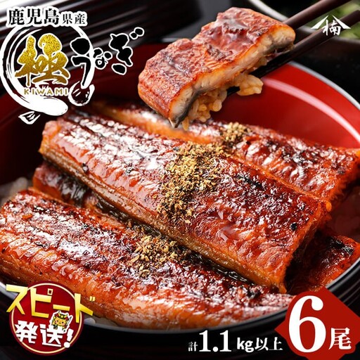 ＜入金確認後、2週間以内に発送！＞楠田の極うなぎ 蒲焼き 190g以上×6尾(計1.1kg以上) うなぎ 鰻 ウナギ 国産 鹿児島県産 九州産 蒲焼き 冷凍 うな重 ひつまぶし e7-018-2w