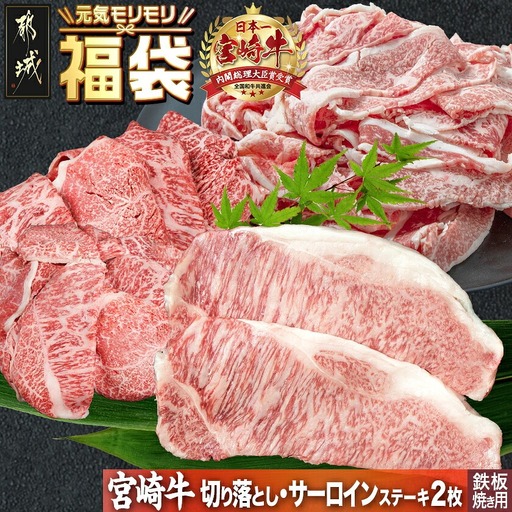 【元気モリモリ福袋】宮崎牛切り落とし・鉄板焼き用サーロイン2枚セット〔AE-2501〕_(都城市) A4 4等級 牛肉 牛バラ切り落とし肉 牛ウデ・牛モモ切り落とし肉 各500g