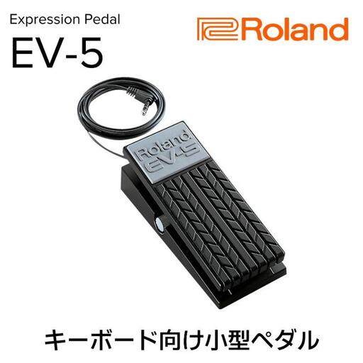 【Roland】エクスプレッションペダル/EV-5【配送不可：離島】 電化製品 