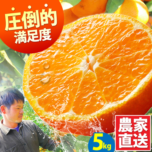 [2026年10月下旬-発送]温州みかん 5kg 南島原市 [SCQ001] みかん