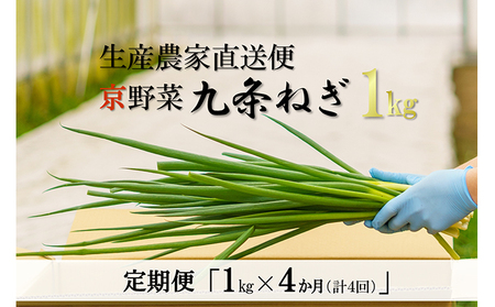[4か月定期便]生産農家直送 京野菜・九条ねぎ1kg[ねぎ 野菜 京都