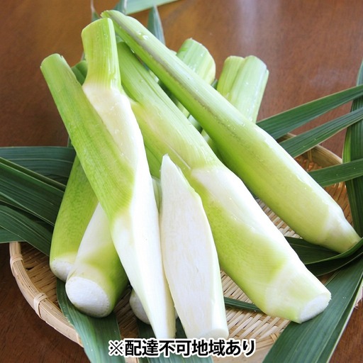 里庄 まこもたけ （1.8kg）【2026年10月上旬～2027年1月上旬出荷】 野菜 マコモダケ マコモ 中華料理 天ぷら 高級食材 送料無料 里庄町