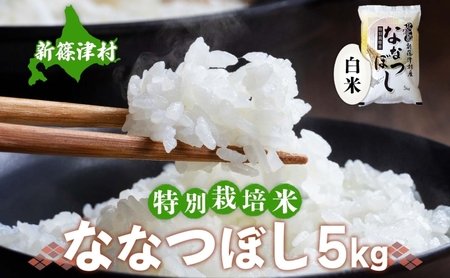 北海道 特別栽培 令和7年産 ななつぼし 5kg 精米 米 白米 お米 ごはん ご飯 ライス 道産米 ブランド米 新しのつ米 ふっくら 食味ランキング 産地直送 お取り寄せ カワサキ森田屋 送料無料
