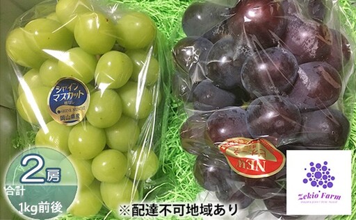 ぶどう食比べセット 2房 合計1kg前後 葡萄 フルーツ 岡山 高梁市産 ぜきお農園 ぶどうclub 2026年 先行予約 果物類 マスカット 果物