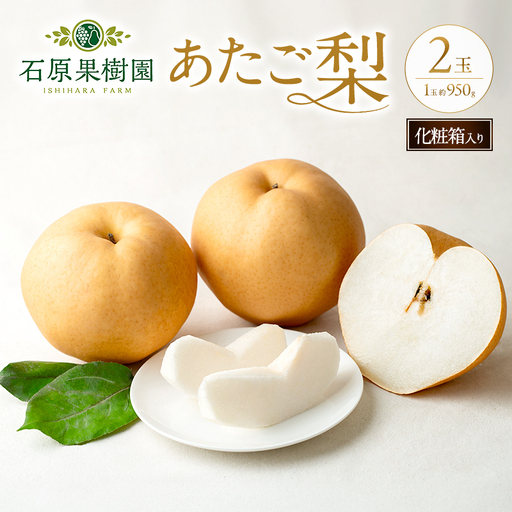梨 2026年 先行予約 あたご梨  2玉 (1玉 約950g) 化粧箱  岡山県産 梨