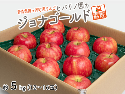りんご ジョナゴールド 青森県産 ヒバリノ園 りんご【約5kg 12〜16玉】