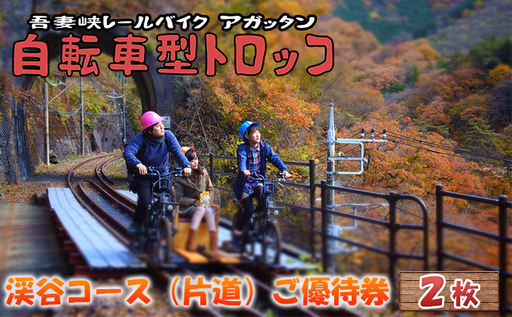 体験　自転車型トロッコ「アガッタン」優待券2枚 体験チケット 