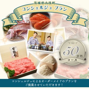 [提案型]あなただけのコンシェルジュプラン(50万円コース)