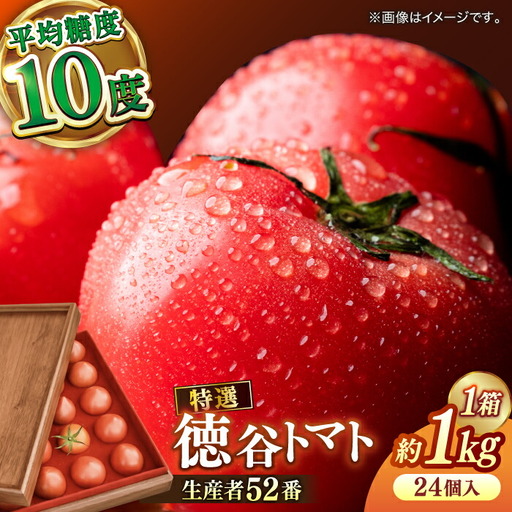 [先行予約]プレミアム徳谷トマト約1kg 24個入り 生産者52番 (ウォールナットケース入り) [2027年1月中旬〜2027年5月下旬頃発送]/ フルーツトマト とまと フルーツ 果物 季節もの [フルーツショップオザキ][ATAH001]